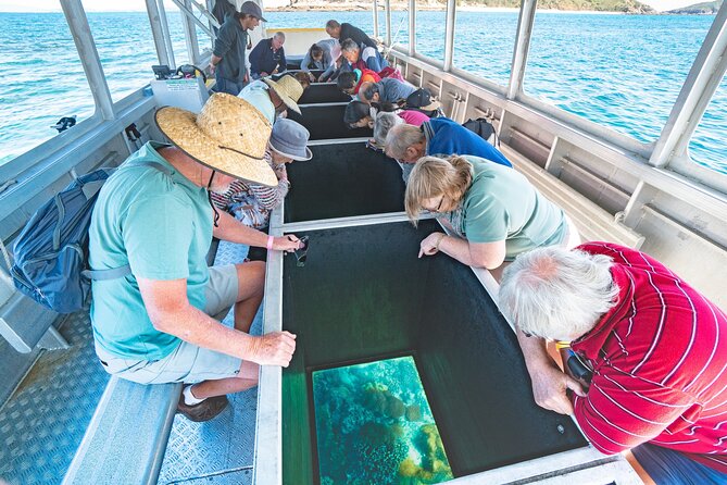 Great Keppel Island Adventure Tour - Snorkel and Boomnet - Getting on board with Freedom Fast Cats (and why 40 people matters)