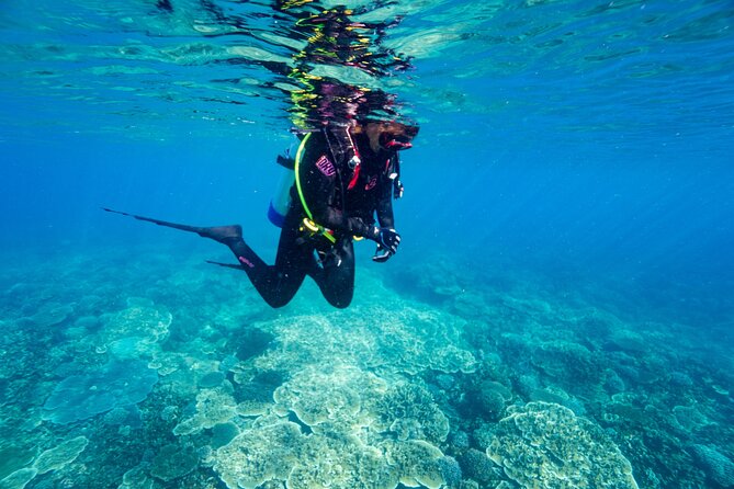 Great Keppel Island Day Trip Bundle from Yeppoon - Great Keppel Island day trip, in plain English