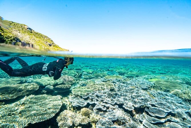 Great Keppel Island Day Trip with Lunch - Money safety and the bag rule during transfers