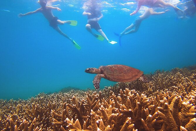 Great Keppel Island Day Trip with Lunch - Getting there: a simple start at Keppel Konnections