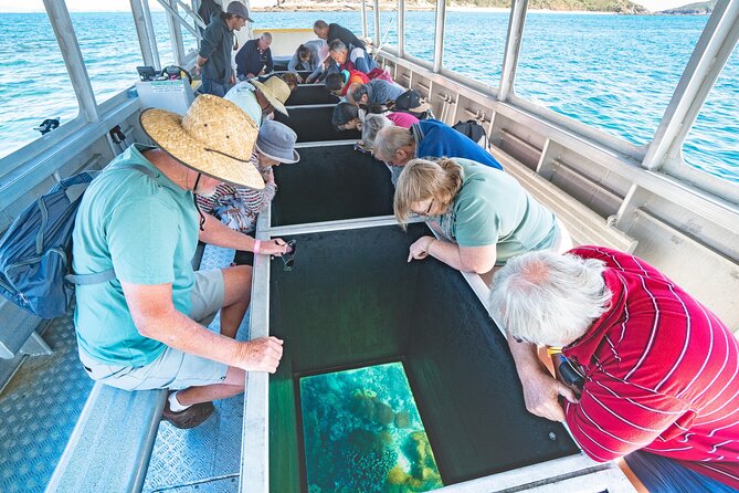 Great Keppel Island Glass Bottom Boat Tour & Ferry Transfer - Key Highlights You Will Notice Right Away