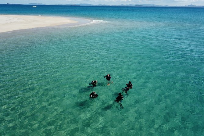 Great Keppel Island PADI Discover Scuba Dive with Keppel Dive - Quick hits worth knowing