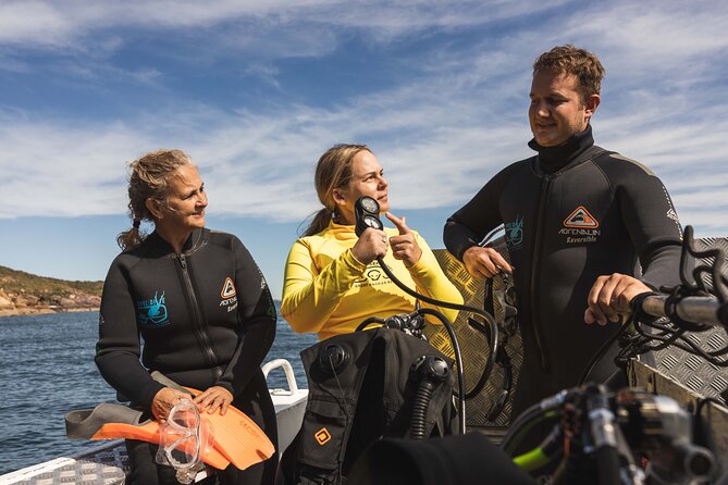 Great Keppel Island PADI Discover Scuba Dive with Keppel Dive - Why this PADI Discover Scuba session is a smart first step