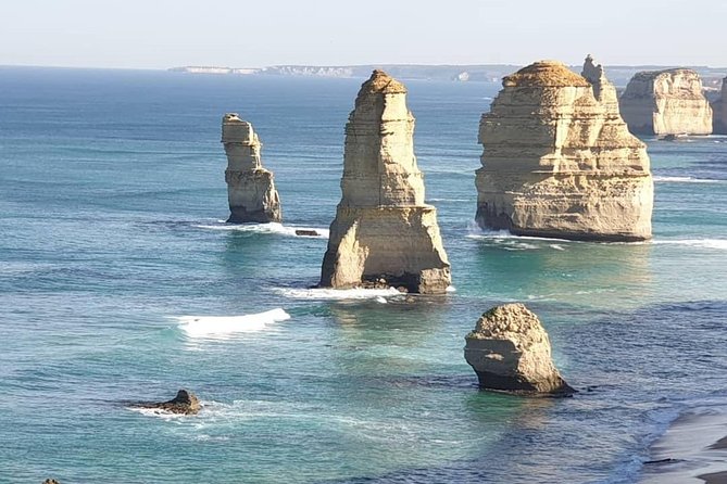 Great Ocean Road 12 Apostles kangaroo, koala and chocolate tour - Key things I’d note before you go