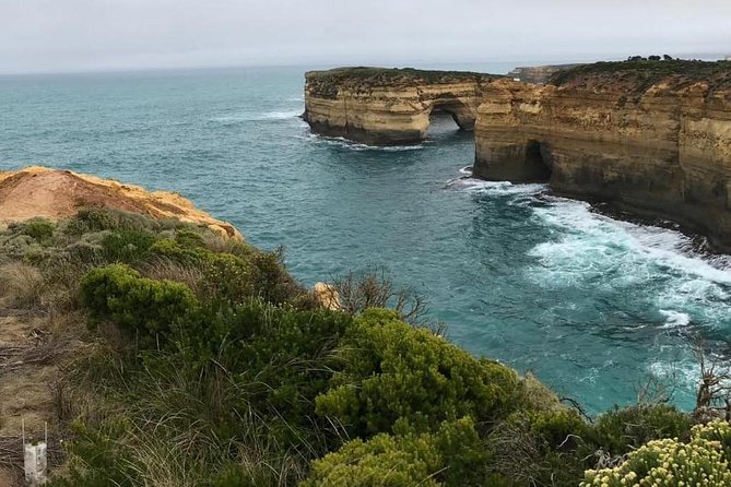 Great Ocean Road 12 Apostles kangaroo, koala and chocolate tour - A Budget-Friendly Great Ocean Road Day From Melbourne