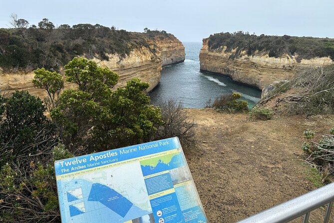 Great Ocean Road 12 apostles PRIVATE Luxury Tour 5 PAX all incl. - Mait’s Rest: rainforest walk with eucalyptus, ferns, and ancient trees