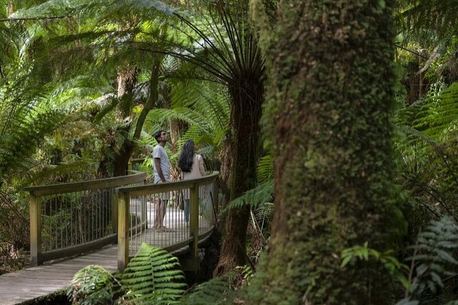 Great Ocean Road, 12 Apostles, Rainforest & Morning Tea-Melbourne - 7:35 am departure: Melbourne to the Westgate Bridge vibe check