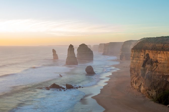 Great Ocean Road and Wildlife Tour for Backpackers aged 18-35 - Wildlife chances: koalas, kangaroos, and how to actually see them