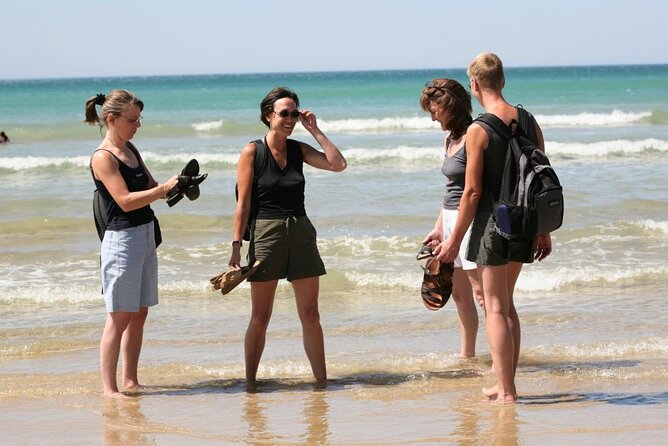 Great Ocean Road Full-Day Sunset Eco Tour from Melbourne - Otway Ranges and the Shipwreck Coast: Where the Stories Feel Real