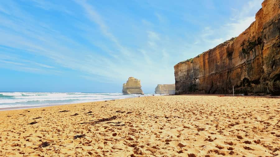 Great Ocean Road Lux Tour Max 11 Hotel Pickup - Wildlife Moments: Secret Locations for Kangaroos and Koalas