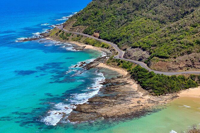 Great Ocean Road Must-See Extended Tour – 12 Apostles & Beyond - Koalas near Barham River Road, plus Great Otway passing time