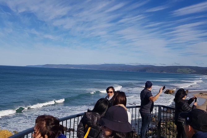 Great Ocean Road Private Luxury Tour - Melba Gully rainforest walk plus Teddy’s Lookout: the day changes texture