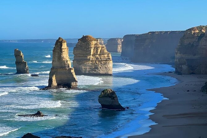 Great Ocean Road Private Tour In Luxury Vehicle.Customised Option - Great Otway National Park drive and the Mait’s Rest rainforest walk