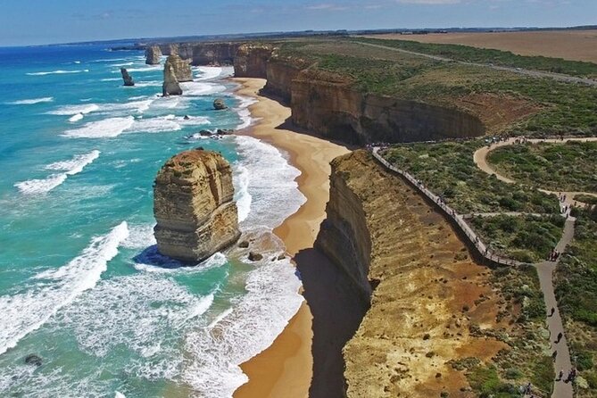 Great Ocean Road Private Tour In Luxury Vehicle.Customised Option - Kennet River and Anglesea, koalas and the sweet finish