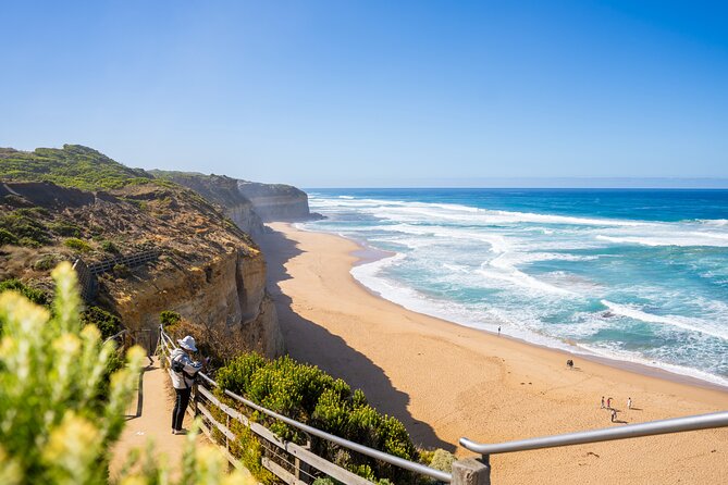 Great Ocean Road Reverse Itinerary Boutique Tour - Max 11 Guests - Great Otway National Park and Mait’s Rest: rainforest time in a tight schedule