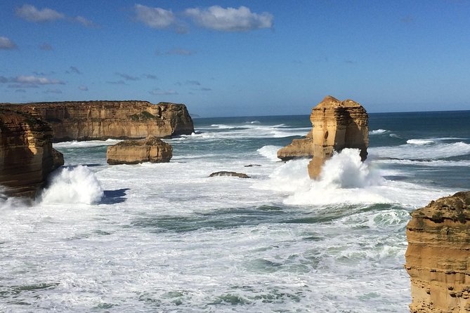 Great Ocean Road Reverse Rainforest & 12 Apostles from Melbourne - Picnic lunch and morning tea: included food that keeps the day moving