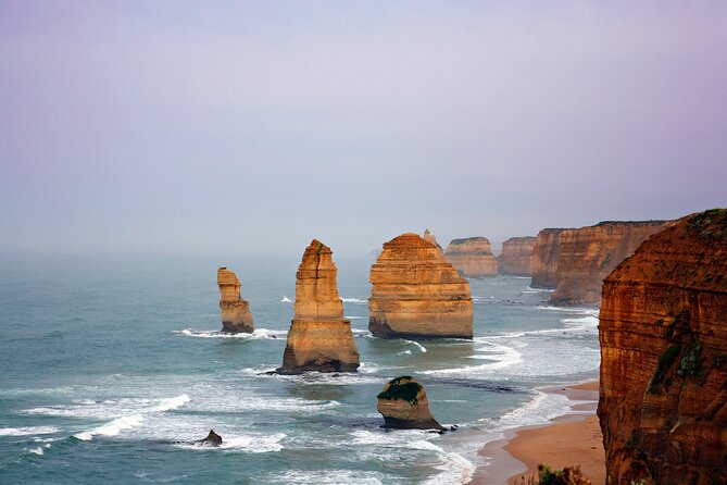Great Ocean Road Reverse Tour with Iconic Stops & Wildlife - Great Ocean Road koala chances: worth it, but keep your expectations real