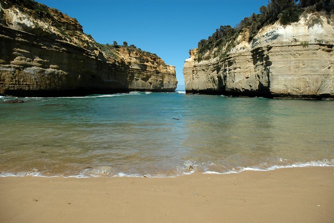 Great Ocean Road Tour Plus Koalas, Forest Walk and Morning Tea - Why This Great Ocean Road Tour Starts So Early