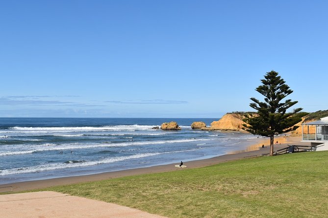 Great Ocean Road Tour Plus Koalas, Forest Walk and Morning Tea - Razorback and Island Arch: Small Stops With Big Texture