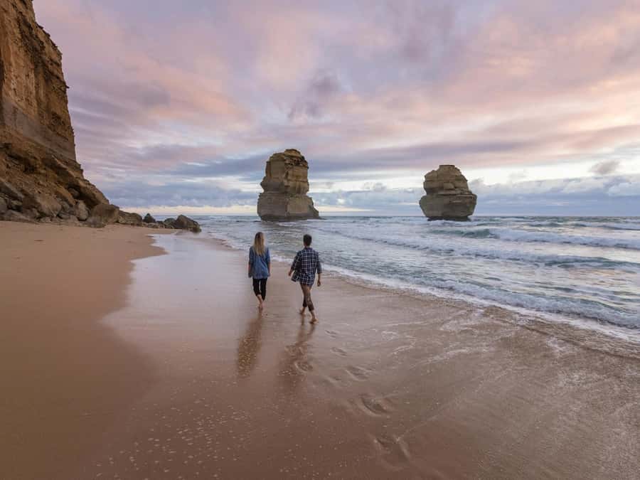 Great Ocean Road Tour PRIVATE LUXURY-FREE entry,hotel pickup - Great Otway National Park, Mait’s Rest, and wildlife odds