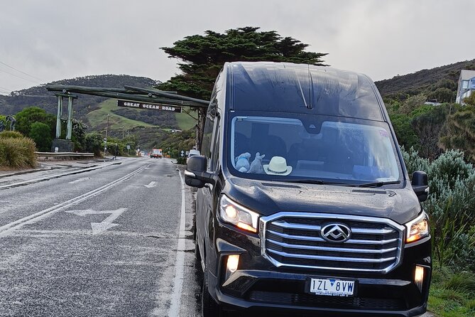 Great Ocean Road Tour Reverse –SML GRP-DLUX Mini Bus Hotel Pickup - Stop 2: Twelve Apostles, first and famous