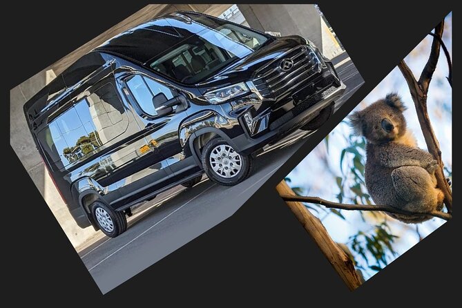Great Ocean Road Tour Reverse –SML GRP-DLUX Mini Bus Hotel Pickup - Stop 4: The Razorback, sharp edges and quick viewpoints