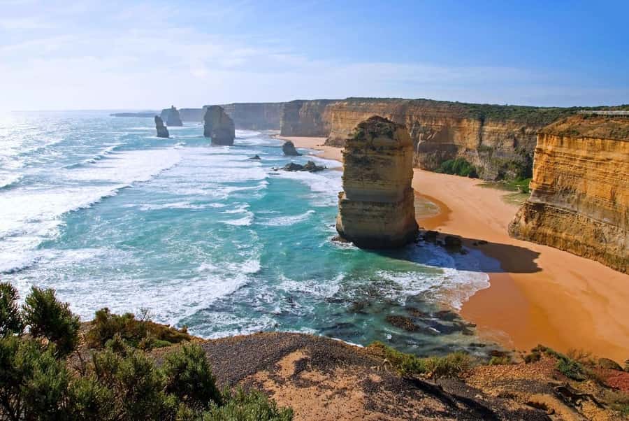 Great Ocean Road Tour w/ Deluxe Minibus & Top-Rated Guide - Into Great Otway National Park: rainforest time, not just views