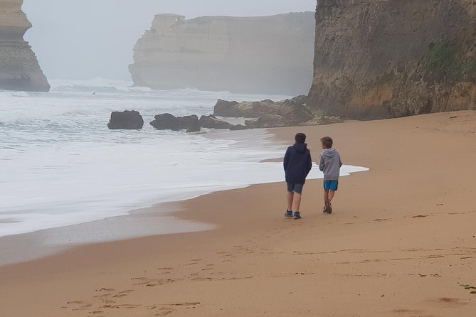 Great Ocean Road Ultimate Two Day Tour - Wildlife odds on this route, and how to actually improve yours