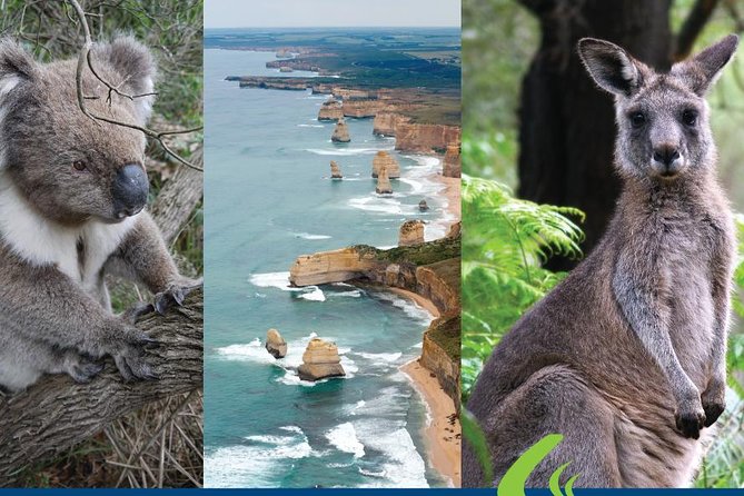 Great Ocean Road Ultimate Two Day Tour - Where you’ll spend time eating, and how to plan meals