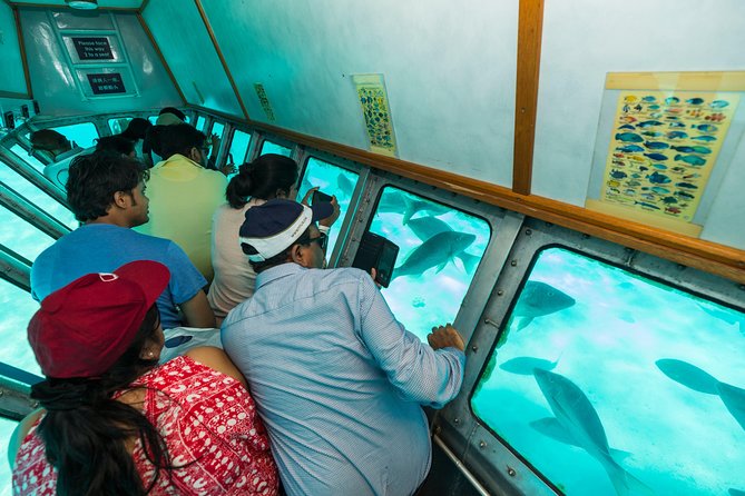 Green Island Day Trip from Cairns - Price And Value: Is $92.52 Worth It?