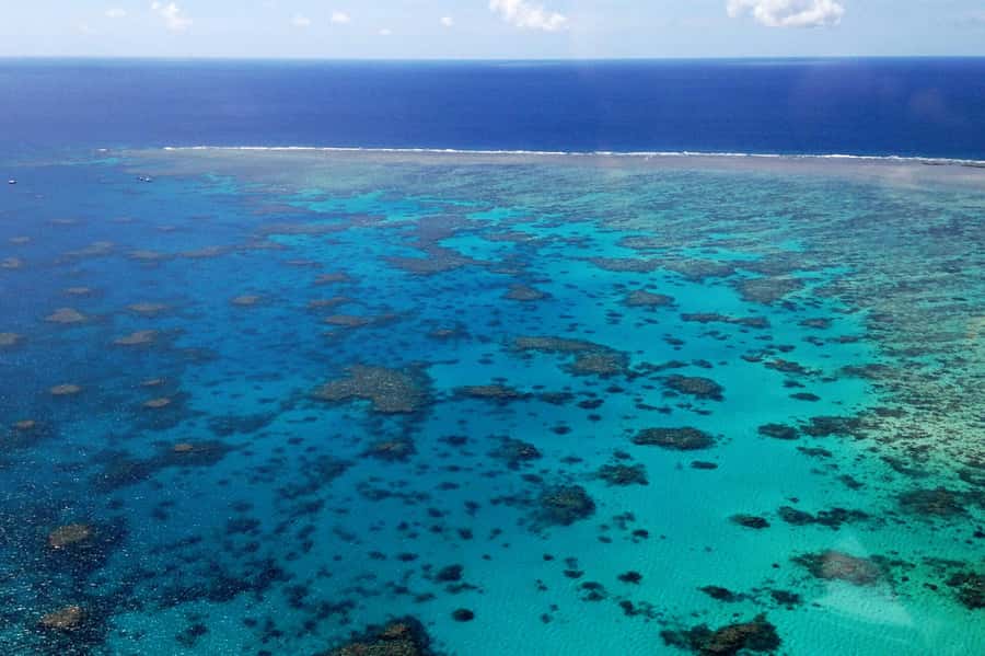 Green Island Fly & Cruise Package - Value for Money: Is 303 AUD a Smart Deal