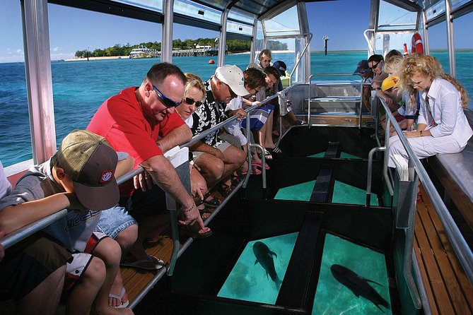 Green Island Half-Day Trip from Cairns - Why Green Island Works When Time Is Tight From Cairns
