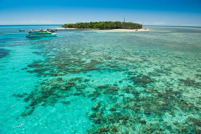 Green Island Half-Day Trip from Cairns - Green Island Time: Snorkeling, Turtles at the Jetty, and Reef Views From Shore
