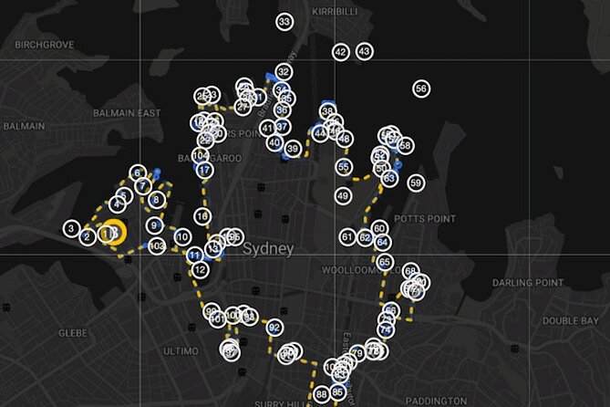 Guided Electric Bike Tour of Sydney with Bluetooth helmets - Sydney Theatre Company area and the optional Zupano stop