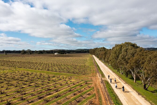 Hahndorf food and wine E-Bike Tour - Price and what you actually get for $182.90