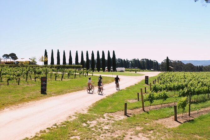 Hahndorf food and wine E-Bike Tour - Riding through Hahndorf’s German town streets