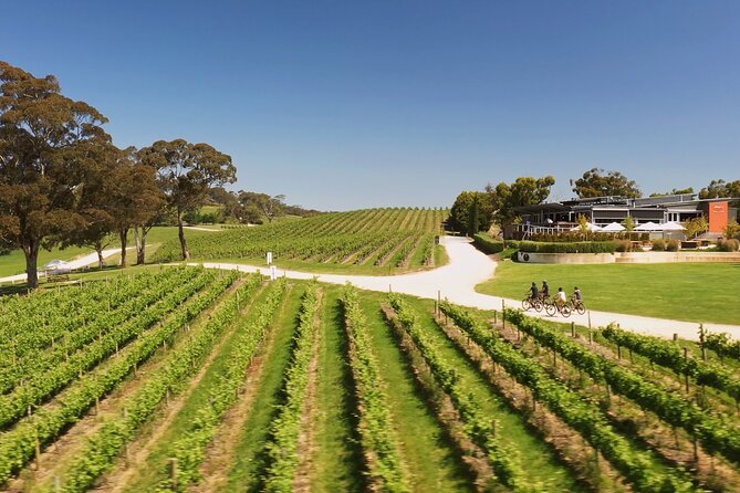 Hahndorf food and wine E-Bike Tour - Shaw and Smith: the wine flight that structures the rest of the day