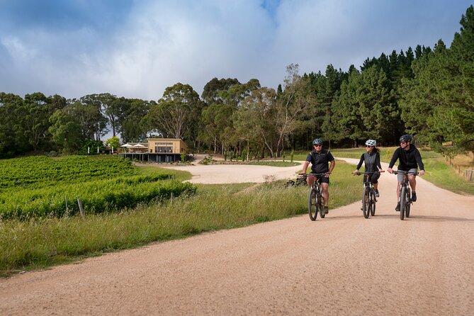 Hahndorf food and wine E-Bike Tour - Back to The Lane Vineyard for Taste the Lane and take-home views
