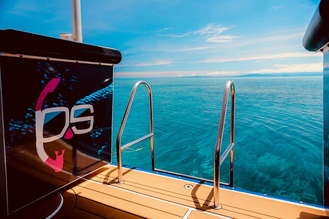 Half Day Great Barrier Reef Snorkeling Tour - Key Highlights You’ll Actually Feel On the Day