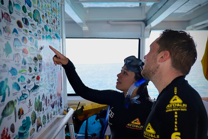 Half Day Great Barrier Reef Snorkeling Tour - Who This Tour Fits Best (And Who Might Want Another Plan)