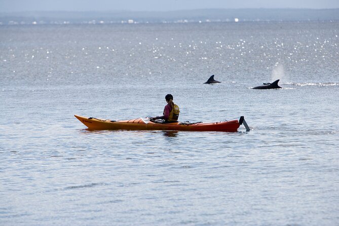 Half-Day Jervis Bay Sea Kayak Tour - Meeting in Huskisson at 7:45 and Why Small Groups Matter