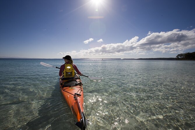 Half-Day Jervis Bay Sea Kayak Tour - Wildlife Watching With a Local Guide, Not Just a Search Party