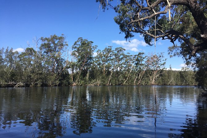 Half-Day Jervis Bay Sea Kayak Tour - Who This Tour Is For, and Who Should Skip It
