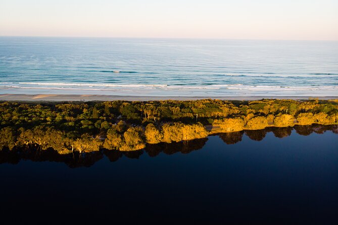 Half Day Learn to Surf Tour From Byron - The Value of the Price: Why $63.83 Can Be a Smart First Surf Bet