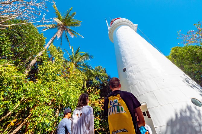 Half Day Low Isles Snorkelling Tour from Port Douglas - Key things to know before you go