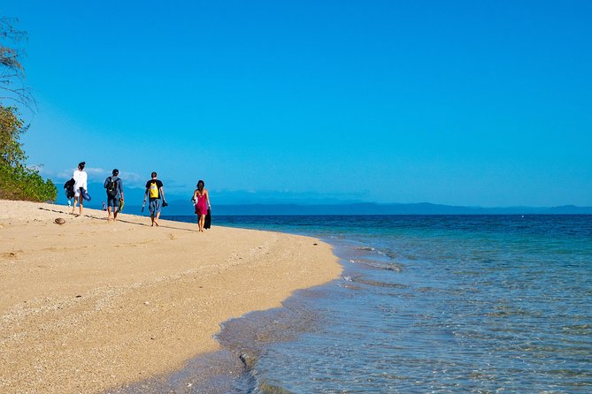 Half Day Low Isles Snorkelling Tour from Port Douglas - Why Low Isles works so well on a half-day schedule
