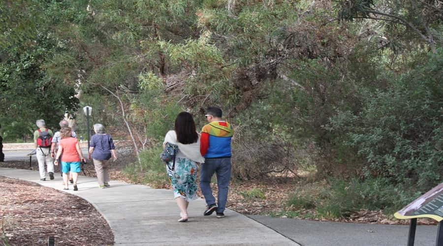 Half-Day Morning Perth & Fremantle City Explorer - The half-day Perth and Fremantle plan that actually fits real schedules