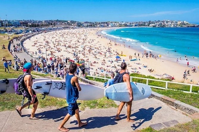 Half-Day or Full-Day Private Guide Hire From Sydney - Two day styles: stay in the city or go toward Hunter Valley or the Blue Mountains