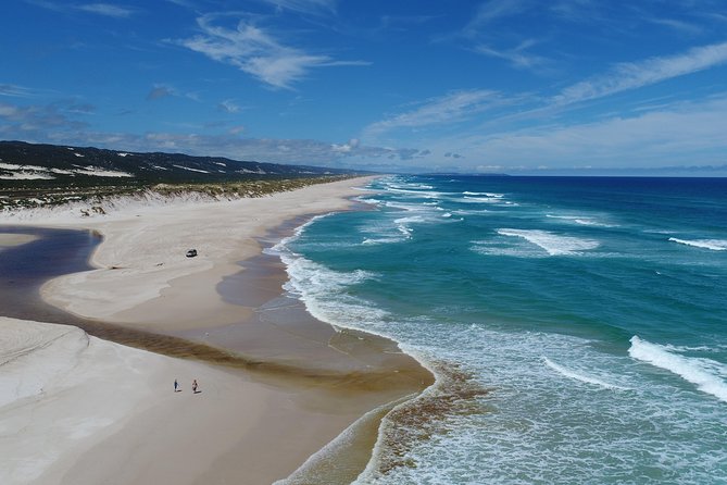 Half-Day Pemberton National Parks Beach and Forest Eco Adventure - Yeagarup dunes: sand-slide fun, photo stops, and sunset odds