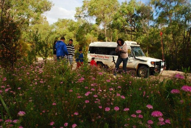 Half-Day Pemberton National Parks Beach and Forest Eco Adventure - Wildflower valleys Sept to Nov: a seasonal bonus you might catch
